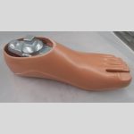 Uni-Axial Prosthetic Foot