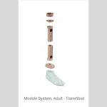 Prosthetics ICRC BK Component
