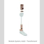 Prosthetics AK Components