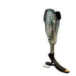 High Technology Prosthesis